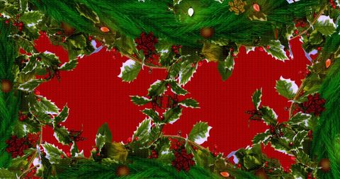 Festive Christmas Holly and Fir Frame on Red