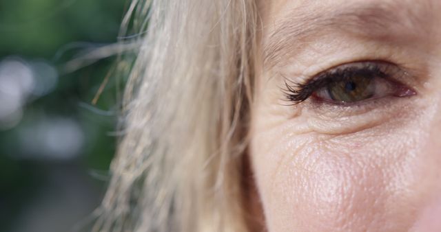 Close-Up of Elderly Woman's Eye with Wrinkles and Lashes - Download Free Stock Images Pikwizard.com