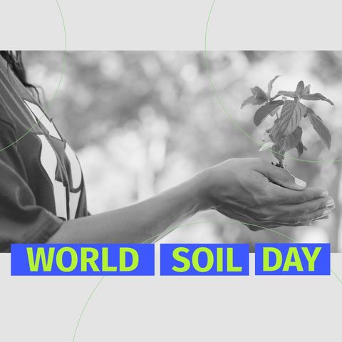 celebrating world soil day with plant care - Download Free Stock Templates Pikwizard.com