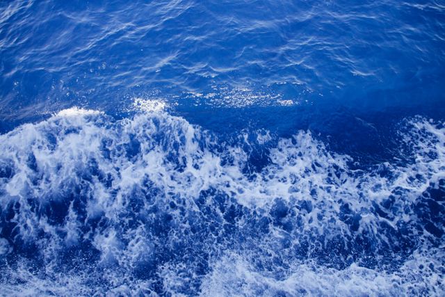 Showcasing the dynamic and vibrant textures of the ocean, this stock photograph features a stunning aerial view of waves crashing on the water surface. The deep blue and frothy white contrast of this image make it perfect for travel websites, marine life documentaries, summer-themed ads, and ocean conservation campaigns.
