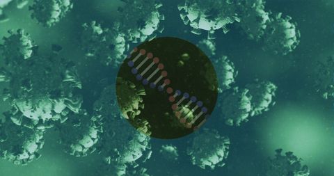 DNA Strand and Covid Cells Healthy Living Research Background