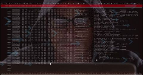 Caucasian Male Hacker Analyzing a Digital Code Sequence - Download Free Stock Images Pikwizard.com
