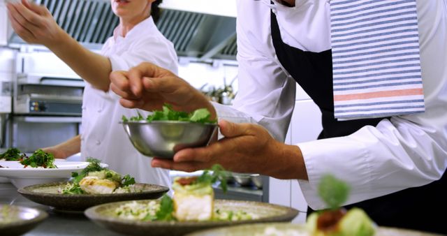 Chefs Preparing Gourmet Meals in Professional Kitchen - Download Free Stock Images Pikwizard.com