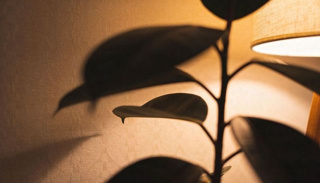 Bedside lamp casting warm rubber plant leaf shadows on textured beige wall