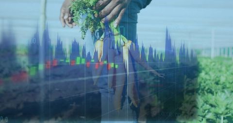 Farmer holding fresh carrots in field with financial market chart overlay