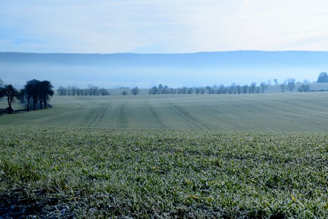 Serene Frosty Landscape of Morning Countryside - Download Free Stock Images Pikwizard.com