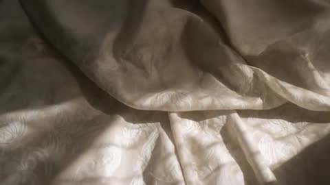 Sunlight Shifting Across Cream Damask Duvet Fabric Folds in Slow Morning Motion