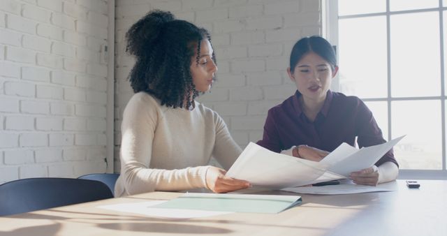 Two women are seated by a large window in a modern office, discussing documents spread across the table. This image is ideal for use in business-related content, teamwork and collaboration concepts, professional environments, and office productivity contexts.