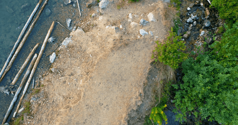 transparent riverbank and forest shore from above - Download Free Stock Videos Pikwizard.com