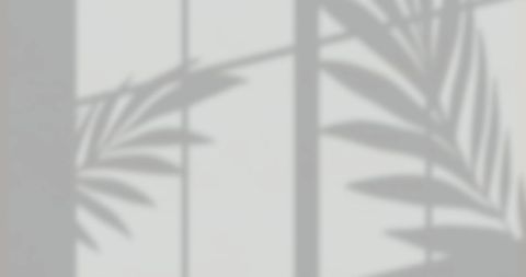 Soft leaf shadows cast on neutral wall