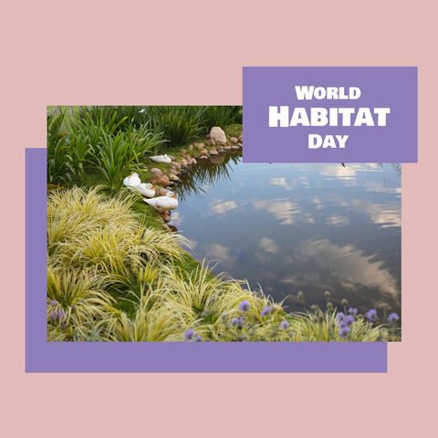 World habitat day celebrate connection with nature at serene lake