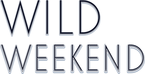 wild weekend text transparent background for party events - Download Free Stock Videos Pikwizard.com