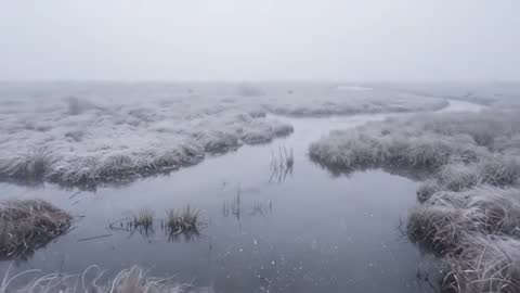 Meandering marsh channel drifting through frost and fog, winter wetland atmosphere