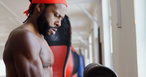 Determined Boxer Lifting Weights in Gym