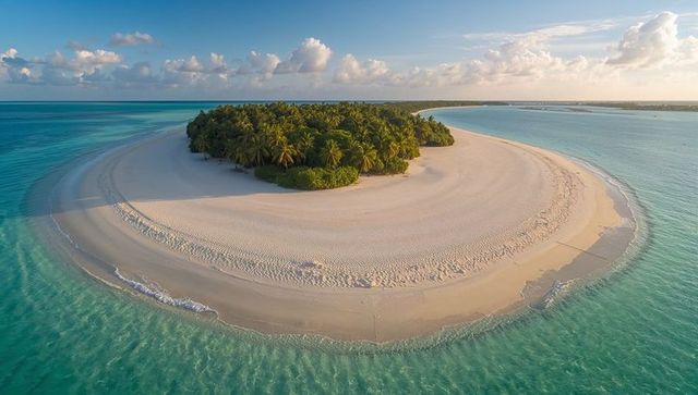 Circular sandbar island with palm grove in turquoise lagoon and pristine white sand