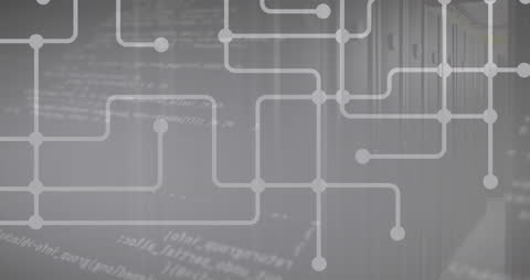 Digital Network Interface Overlaying Data Servers