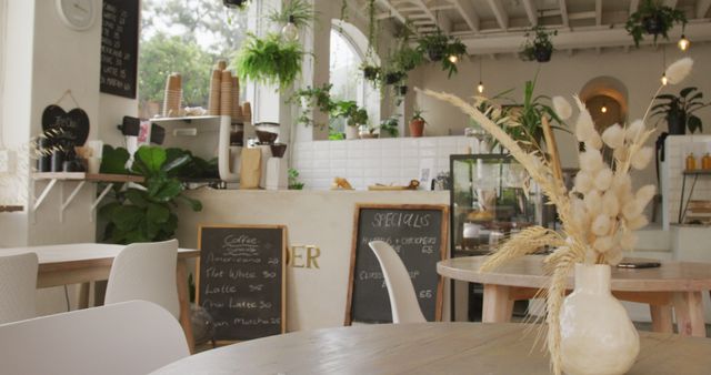 Cozy Coffee Shop with Rustic and Modern Decor - Download Free Stock Images Pikwizard.com