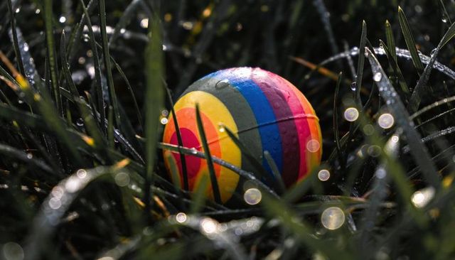 Colorful rubber ball nestled in dewy grass with concentric stripes and bokeh droplets