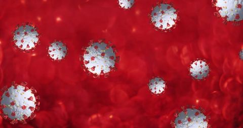 Illustration of Coronavirus Cells Amidst Red Blood Cells - Download Free Stock Images Pikwizard.com