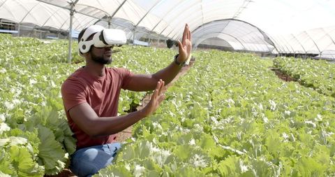Innovation in Agriculture: VR Inspection of Hydroponic Garden