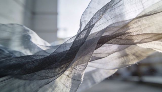 Billowing gauze curtain drifting past backlit window, sunlight revealing sheer texture and weave