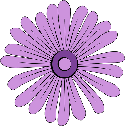 Flat purple daisy flower with transparent background