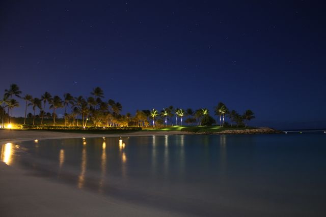 Serene Tropical Beach Night with Starry Sky and Palm Trees Reflecting on Water - Download Free Stock Photos Pikwizard.com