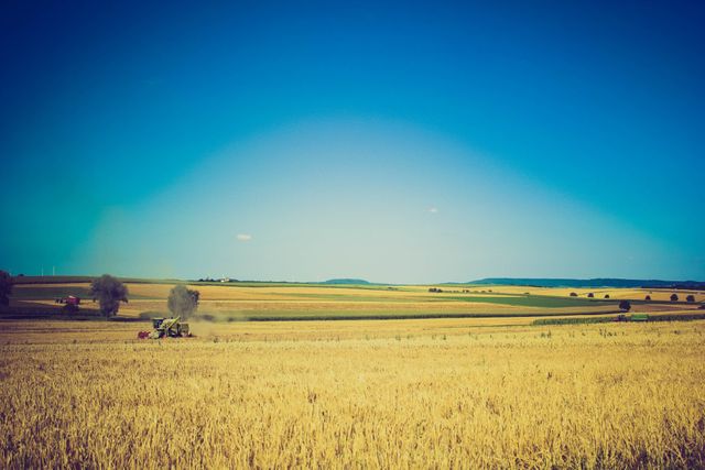 Combining wheat in an expansive rural setting can portray efficient agricultural practices. Perfect for use in articles or brochures about farming, agricultural equipment, food production, rural lifestyles, and sustainable farming methods.