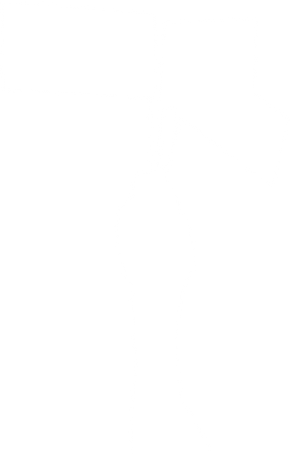 Silhouette of Hand Holding Flags on Transparent Background for Patriotism and Celebration - Download Free Stock Videos Pikwizard.com