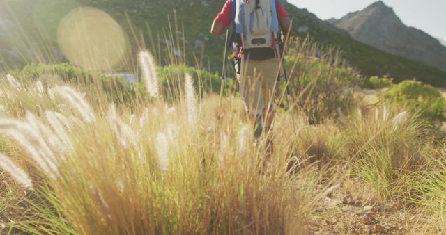 Person hiking along a mountain trail with a backpack, surrounded by tall grass and mountainous terrain. Sunlight highlights the scenic beauty of the wilderness. Ideal for use in travel promotions, adventure tourism, outdoor gear advertisements, or content focusing on physical fitness and nature exploration.