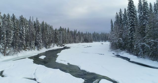 Majestic winter landscape with a snow-covered river flowing through a dense, evergreen forest. The partially frozen river adds beauty and serenity to the wintry scene. Use this image for holiday cards, winter travel promotions, nature blogs, or environmental awareness campaigns.