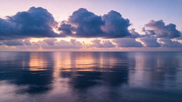 Pastel dawn over calm ocean with reflecting cumulus clouds and soft pink horizon