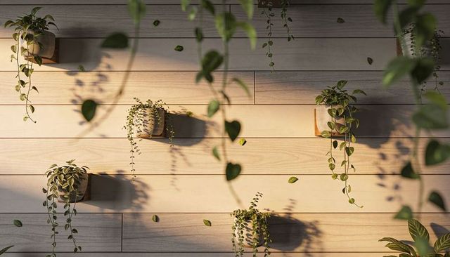 Sunlit vertical garden with hanging ceramic planters casting warm shadows on wood panels