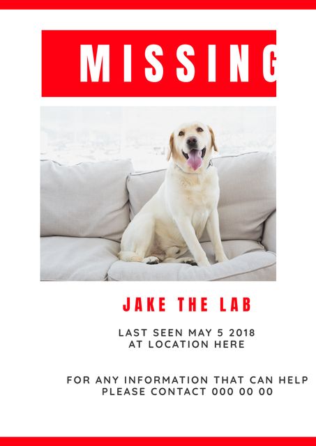 Missing Pet Poster with Smiling Labrador on Couch Stressed in Bold Red - Download Free Stock Templates Pikwizard.com