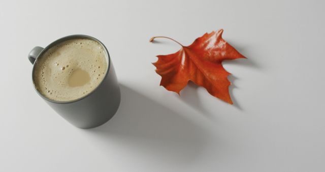 Image of mug with coffee and fall leaf on white background. seasons, autumn, coziness and relax concept.