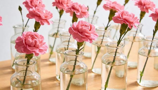 Displaying pink carnation stems in clear glass vases creating soft reflections