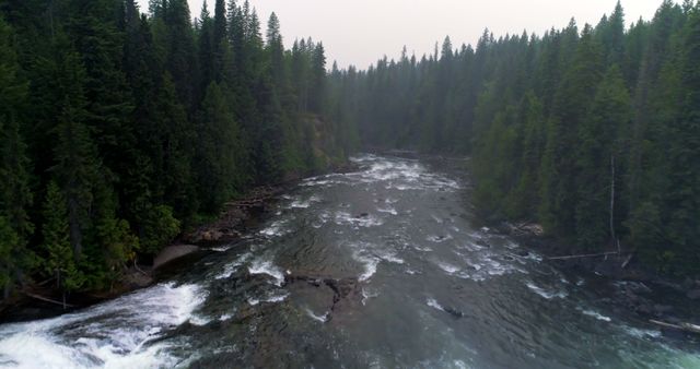 Aerial View of River in Pine Forest with Flowing Water - Download Free Stock Photos Pikwizard.com