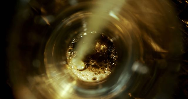 Close-up of beer poured in glass against black background. Bubbles and foam forming in glass. 4k
