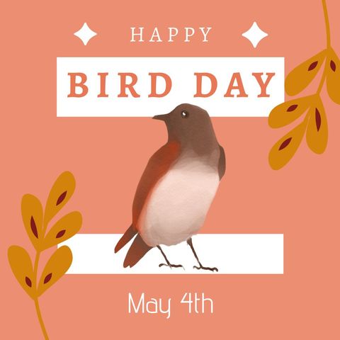celebrating happy bird day on may 4th with artistic bird illustration - Download Free Stock Templates Pikwizard.com