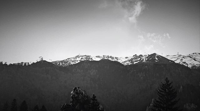 Black and white image depicts a misty mountain range with snow-capped peaks. Foreground shows the dark outlines of trees from a forested area, creating a contrast with the sky. Suitable for use in nature-themed projects, winter landscapes, serene and tranquil settings, dramatic backgrounds, and environmental presentations.