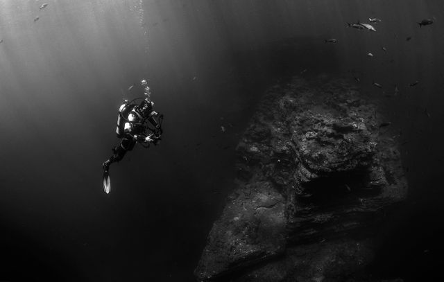 This image shows a scuba diver exploring underwater in rich black and white tones, with a focus on ambient light and natural ocean scenery. It can be used to depict underwater exploration, marine adventures, diving sports, and underwater photography exhibits. Ideal for travel magazines, scuba diving promotions, environmental conservation materials, and oceanic documentaries.