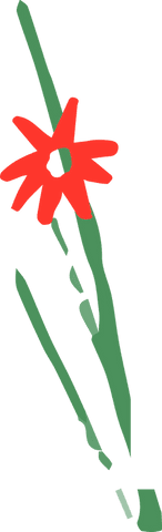 Minimalist red flower illustration on transparent background