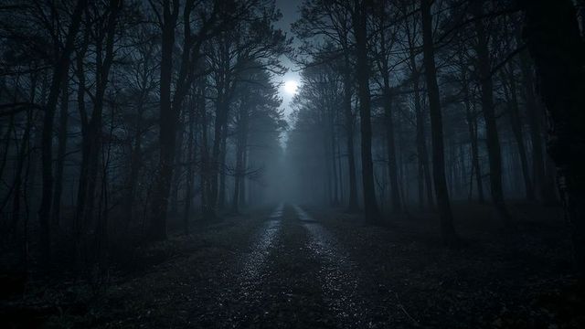 Mystical Night Trail Through Misty Pine Forest