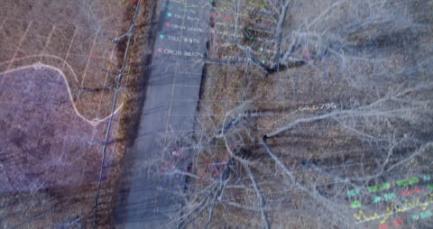 Digital Data Overlay on Forest Path