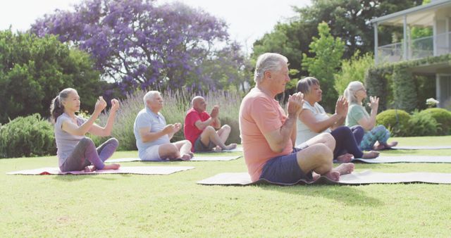 Group of Multi-Ethnic Seniors Practicing Yoga Outdoors in Park - Download Free Stock Images Pikwizard.com