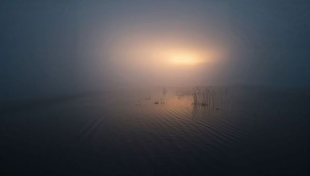Foggy Marsh Sunrise Reflecting Warm Golden Glow over Silent Wetland Reeds and Ripples