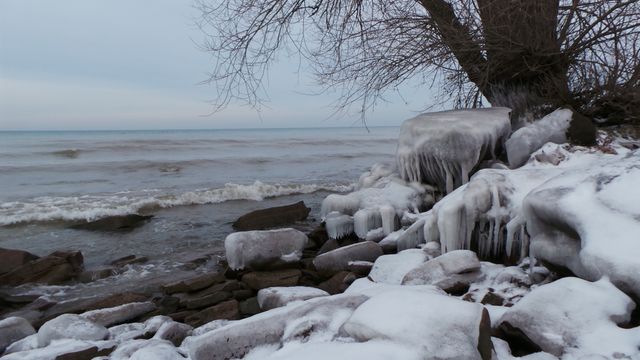 Rock-strewn lakeshore covered in snow and ice with large bare tree in the foreground. Fitting for winter themes, nature documentaries, climate change content, or seasonal greeting cards.
