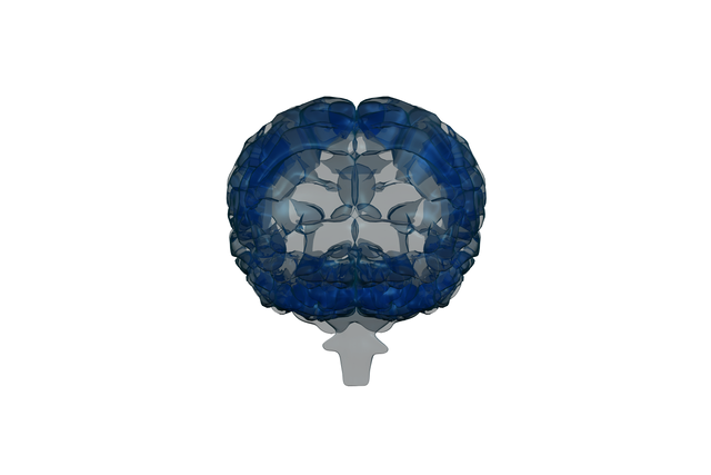 Blue Brain Illustration on Transparent Background Symbolizing Knowledge - Download Free Stock Videos Pikwizard.com