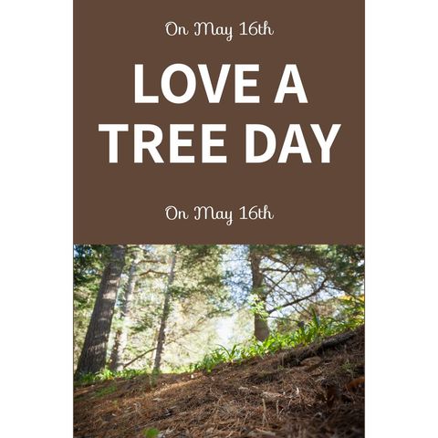 Celebrating Love a Tree Day in Tranquil Forest - Download Free Stock Templates Pikwizard.com