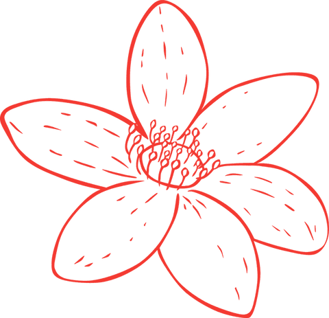 Red stylized line art flower on transparent background